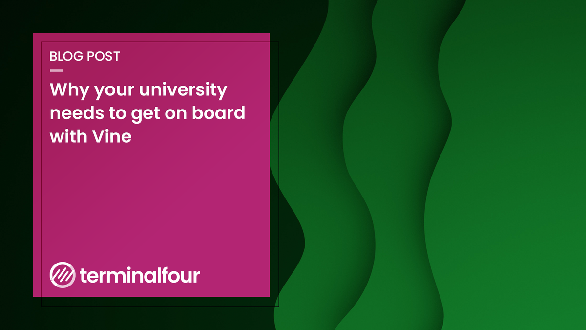 Are you tapping into Vine's 40 million users? 