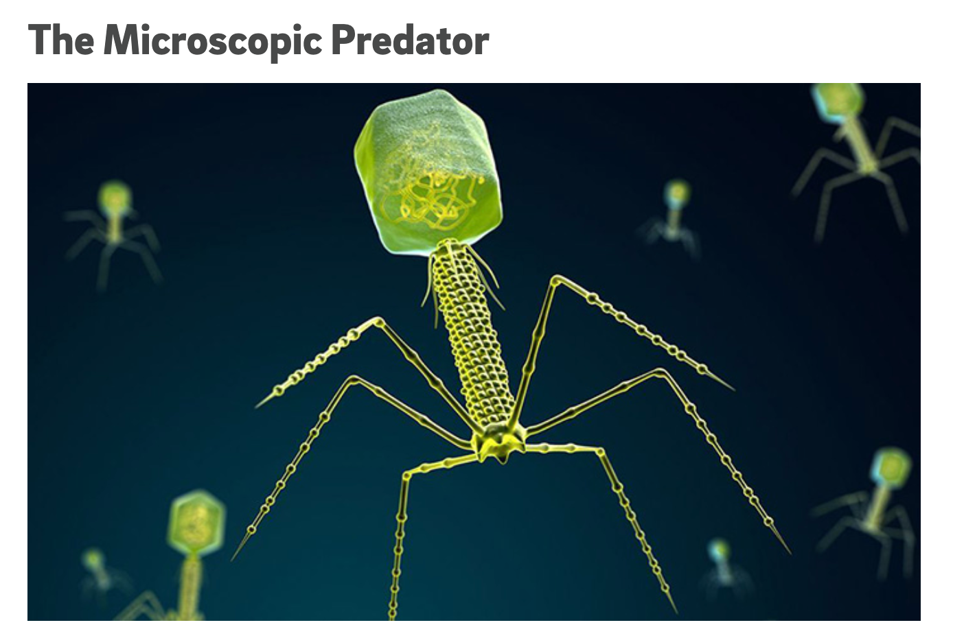 Marketing Halloween at higher education