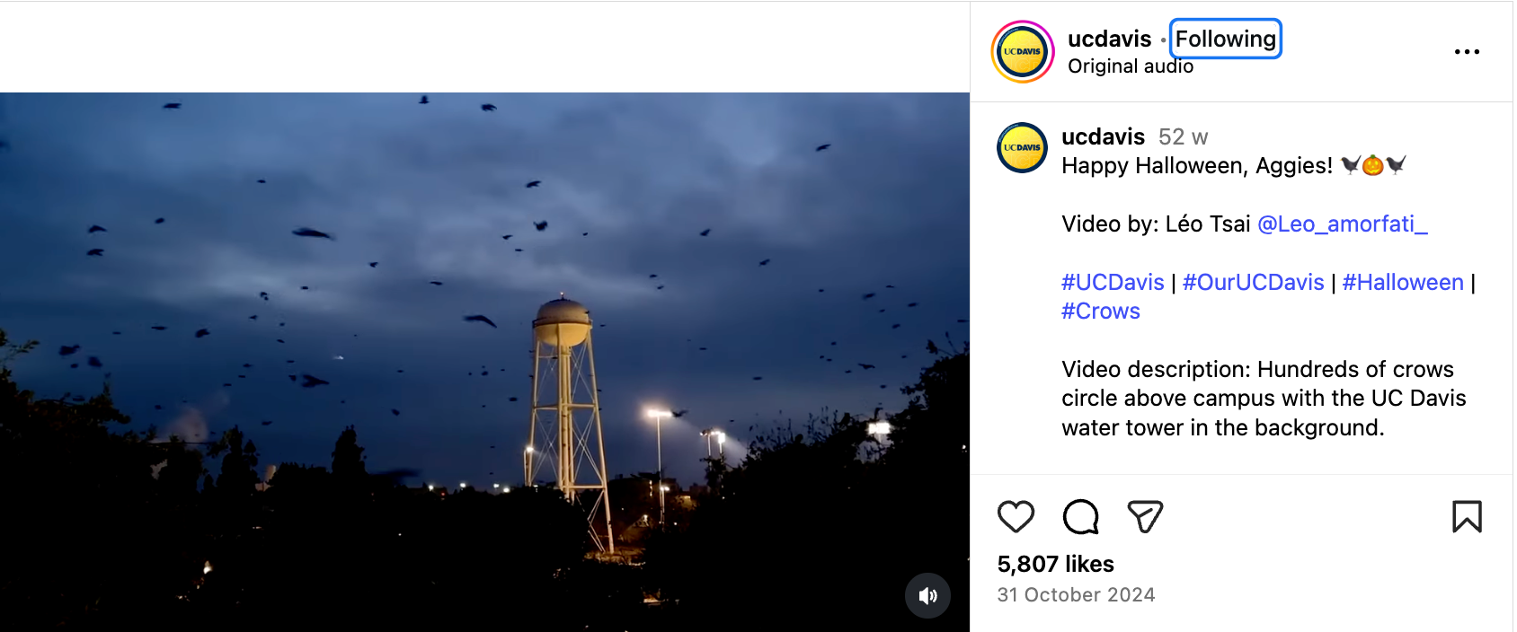 Marketing Halloween at higher education